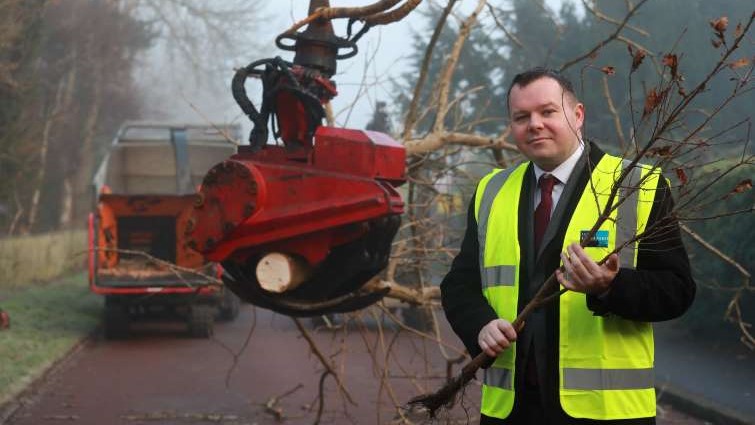 Work underway to remove trees worst affected by ash die-back disease